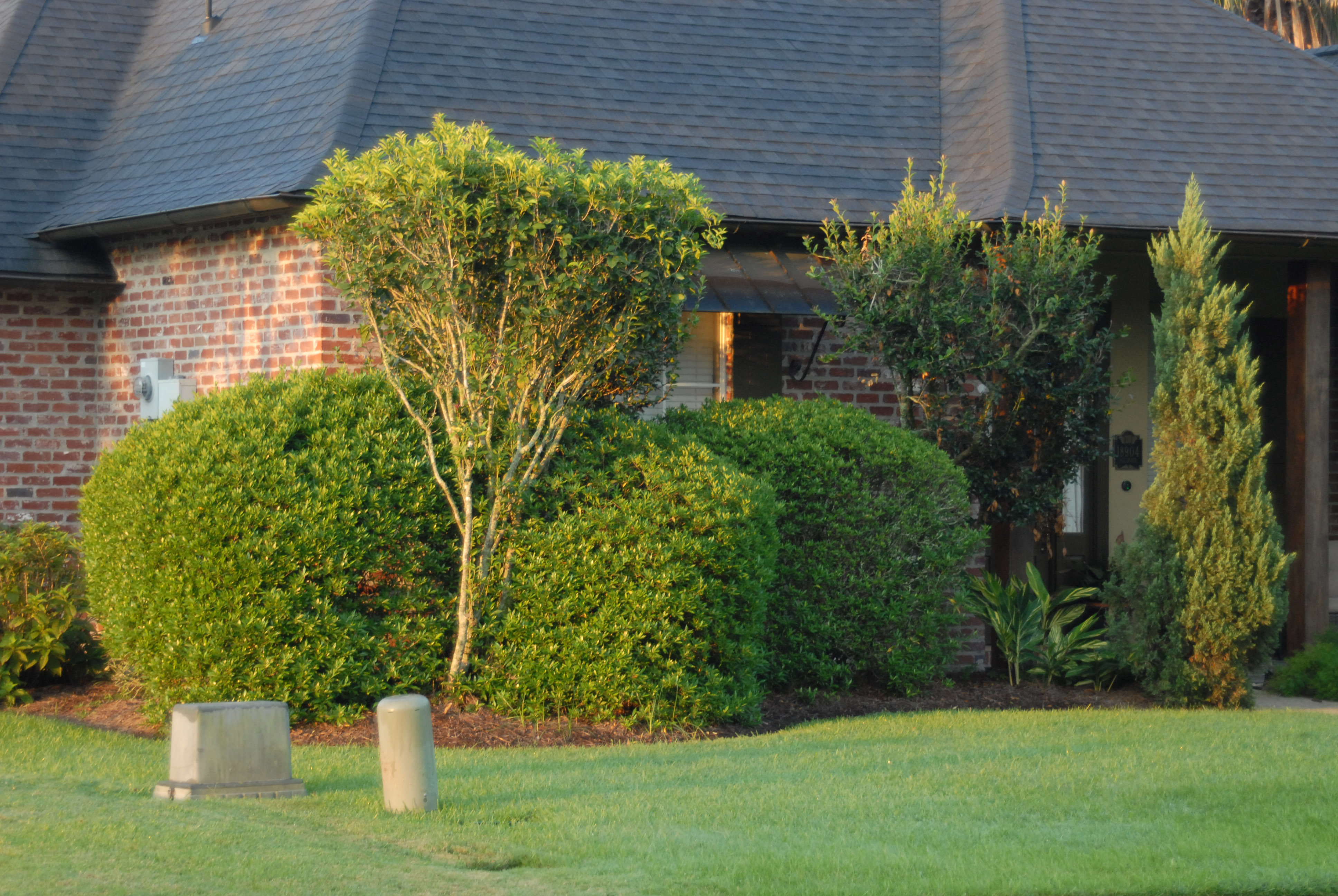 Keep your landscape under control 